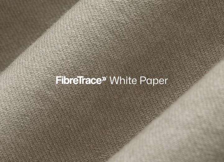 Transparency in 2024 | White Paper by Victoria Pearson