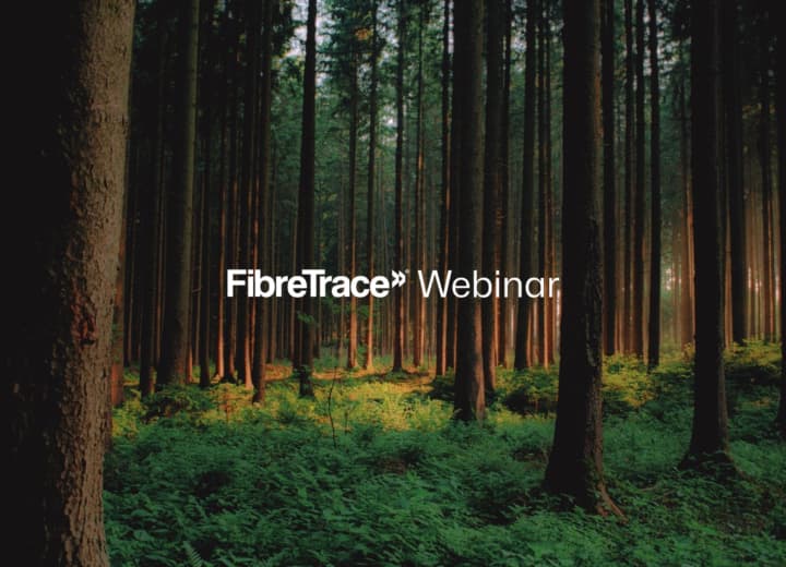 Understanding the impact of the EU’s deforestation Regulation.