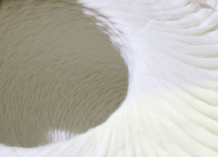 Sapphire Textile Mills release traceable and carbon positive yarns and interiors collection